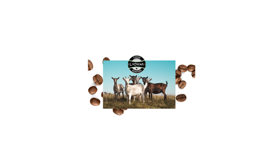 From Goats to Global Obsession: The Surprising Origins of Coffee